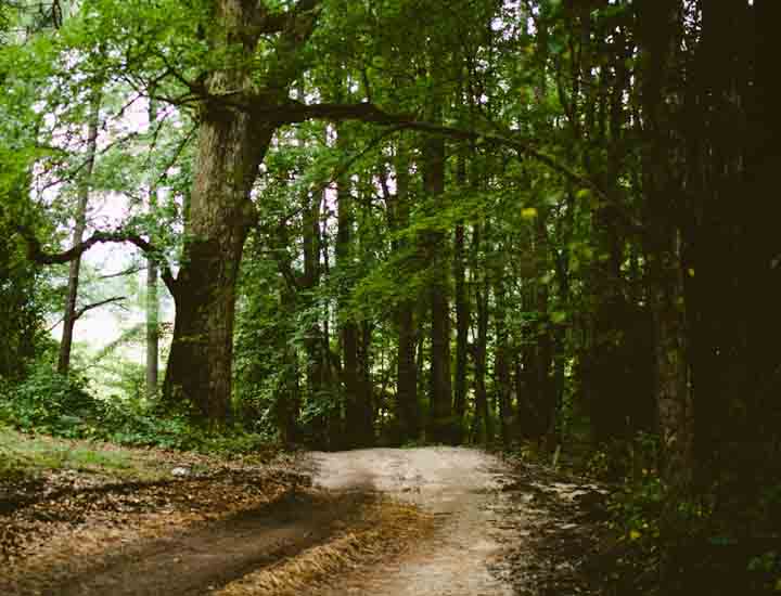 秋思手机号轰炸平台