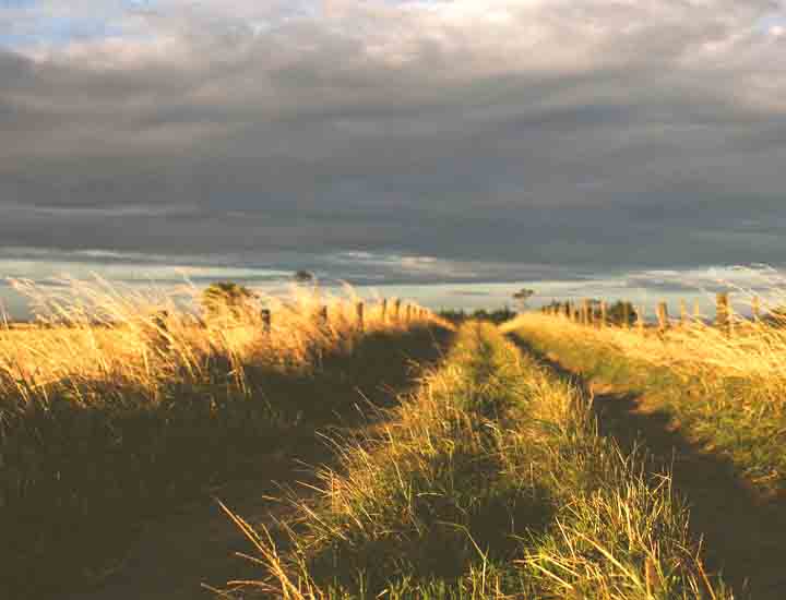 秋思电话轰炸平台